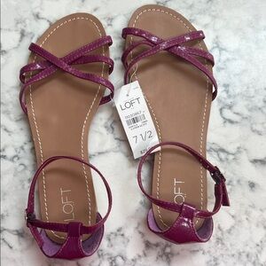 LOFT Women's Strappy Magenta Sandals